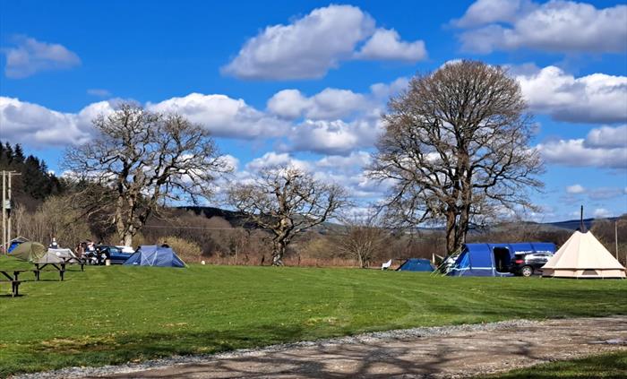Camping Field non Electric